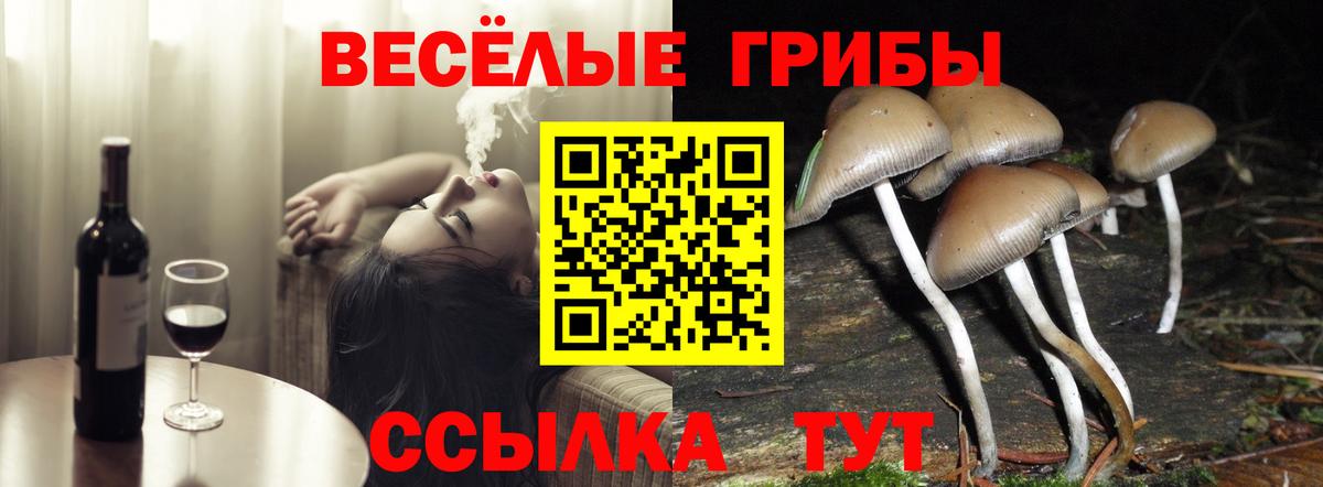Галлюциногенные грибы Cubensis Жуковский