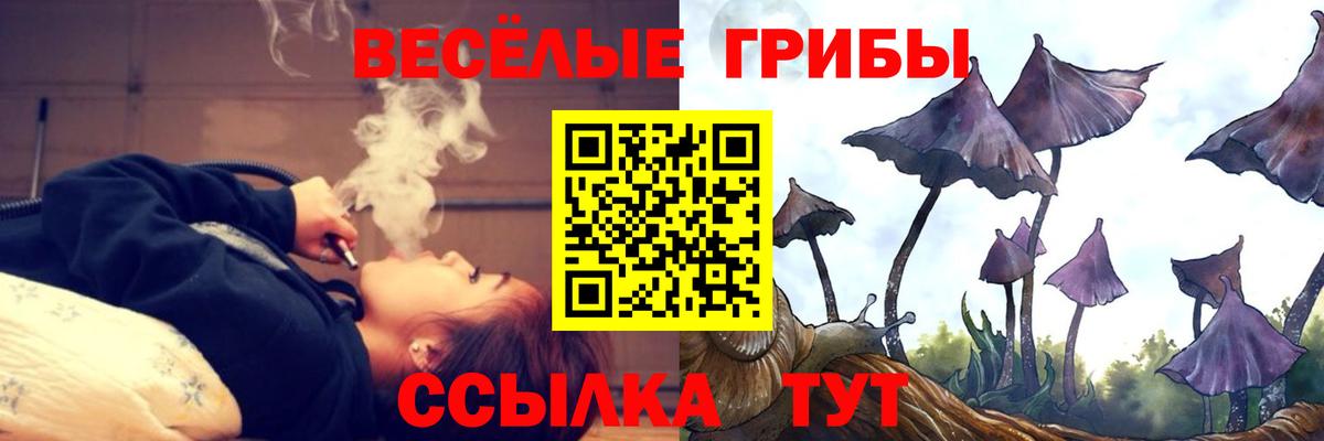 где найти наркотики  Вход с VPN  Жуковский  Галлюциногенные грибы Psilocybe 