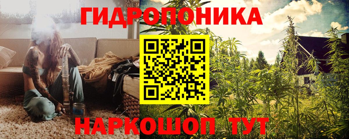Жуковский  Марихуана индика  Канабис сатива  Канабис VHQ  Вход с VPN  Марихуана SATIVA & INDICA 